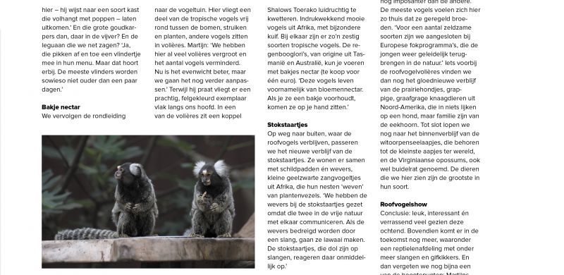 Stokstaartjes, roofvogels, vlinders en nog veel meer